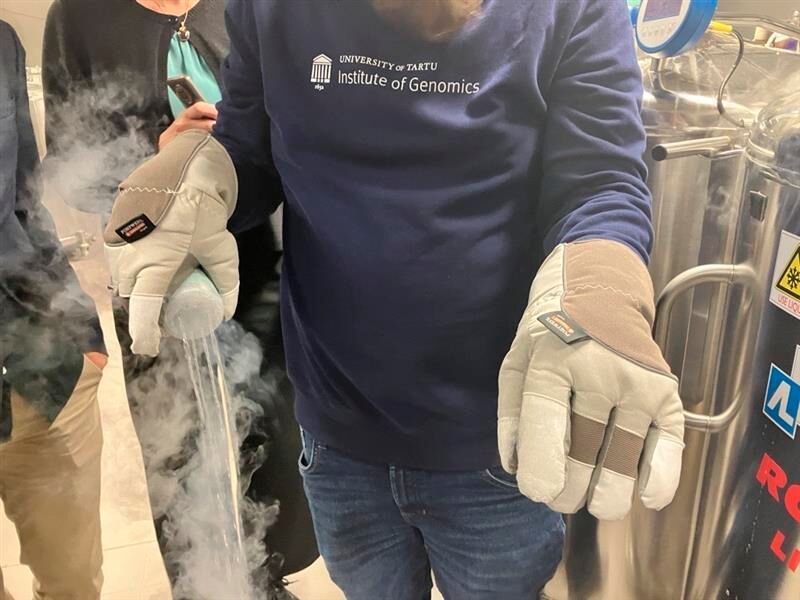 Die Bioproben werden nochmal in speziellen Behältern verpackt. (Bild: © Serina Sonsalla)