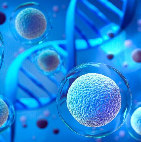 Since cell and gene therapies are still evolving, require extensive resources and expertise for its development and manufacturing, life science, pharma companies and even research institutes are turning to CDMOs to help them out. Since cell and gene therapies are still evolving, require extensive resources and expertise for its development and manufacturing, life science, pharma companies and even research institutes are turning to CDMOs to help them out.