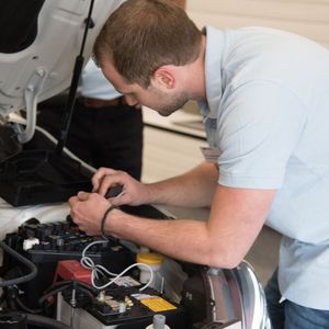 (Subaru/ Ingrid Jost-Freie)