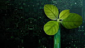 Fujitsu_02.02.2023 (Canva)