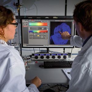 Sophia Meermeyer und Thorsten Müller untersuchen einen Gehirnschnitt aus dem menschlichen Hippocampus. Dieses Gewebe ist von Morbus Alzheimer mit am ehesten betroffen. Blau angefärbt sind die Zellkerne.(Bild:  Roberto Schirdewahn)