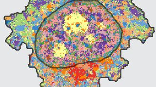 Die so genannte „Iterative Indirect Immunofluorescence Imaging“ (4i) Methode ist nach Angaben der Entwickler das erste bildgebende Verfahren, das eine enorm vielschichtige Ansicht und multiplexierte Informationen auf Gewebe-, Zell- und Organell-Ebene verbindet.  (UZH)