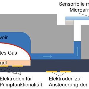 Abb. 1: Automatisierung und Miniaturisierung bringt einen Zeitvorteil gegenüber klassischen Analysenmethoden. Im Vordergrund: Schematische Darstellung der Kartuschenfunktionalitäten und -arbeitsweise. 
