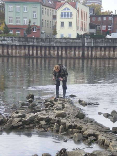 Bei der Entnahme einer Probe aus der Oder in Slubice/Frankfurt an der Oder. (Bild: Forschungsgruppe Diatomeen, Botanischer Garten und Botanisches Museum Berlin-Dahlem)
