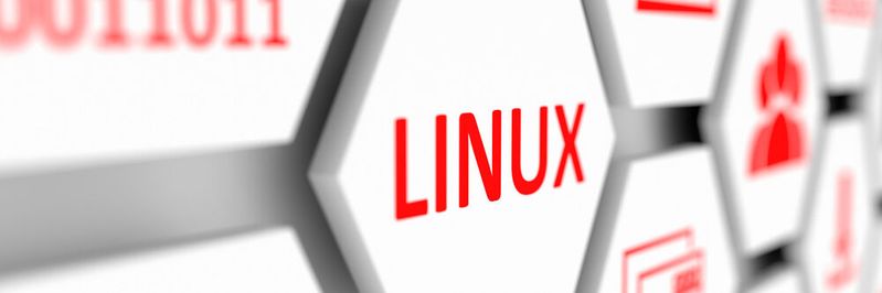 Happy Birthday Linux! Das „freie“ Betriebssystem wird 30 Jahre alt!(Bild:  profit_image - stock.adobe.com)