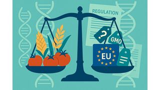 Das EU-Parlament plant, die Regeln zur Kennzeichnungspflicht für gentechnisch veränderte Lebensmittel zu lockern. Was dies für Verbraucher, Landwirte und die Versorgungssicherheit mit Lebensmittteln bedeutet, lesen Sie hier. (Bild: GPT Image Editor / KI-generiert)