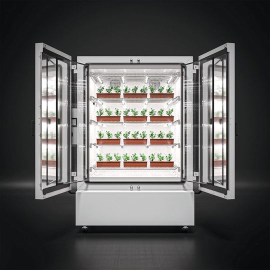 Pflanzenwachstumsschrank: Vier Ebenen mit Pflanzen(Bild:  Binder)