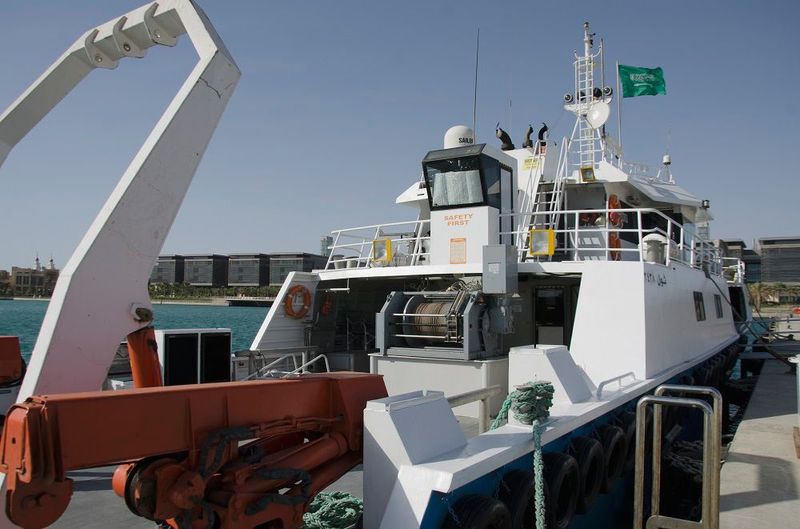 The RV Thuwal is the vessel used for the field work in this study. (Kaust)