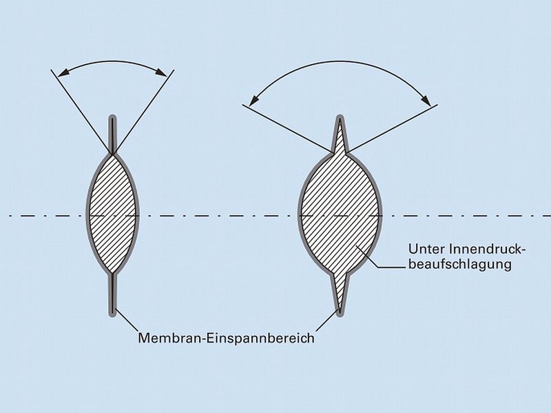 Bild 3: Verformung der Linse unter Innendruckbeaufschlagung. (Bild: Lewa)