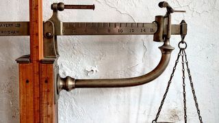 Weniger zu essen verlängert die Lebensspanne vieler Organismen. (gemeinfrei)