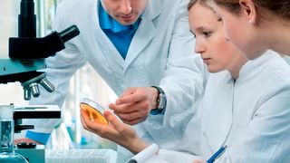 0115622361 (Bild: Alexander Raths - stock.adobe.com)