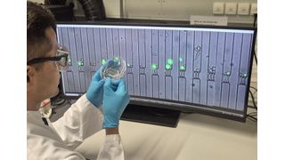 Fig. 1: Un chip CellTrap prima dell'immagine al microscopio in tempo reale delle trappole. Ogni camera contiene poche cellule immunitarie e tumorali, la cui interazione viene monitorata per molte ore. (Bild: TUM)