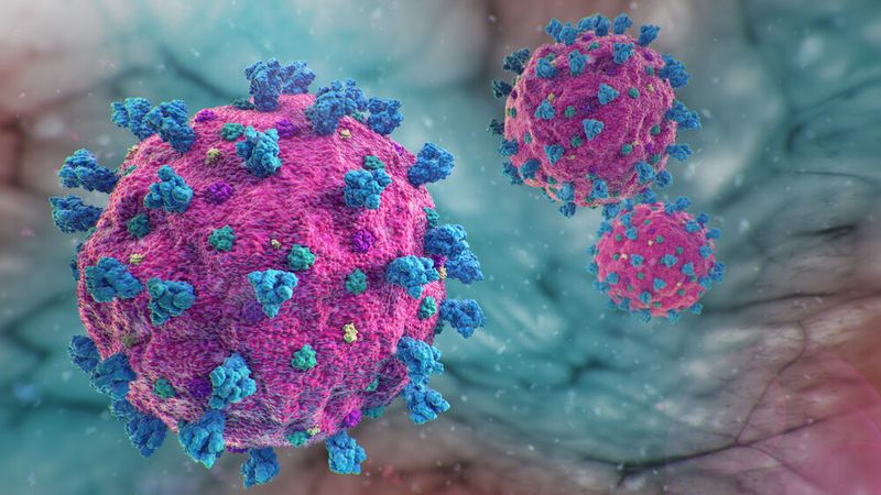   Platz 3: SARS-CoV-2 Im Jahr 2019 wurde in China erstmals ein neuer Virus entdeckt, das eine akute Atemwegserkrankung (COVID-19) verursacht. Das Virus, bekannt als SARS-CoV-2, verbreitete sich rasch über den gesamten Globus, was weltweit Schutz- und Quarantänemaßnahmen erforderte, um die Ausbreitung einzudämmen. Die rasche Verbreitung war auf das Fehlen einer Grundimmunität in der Bevölkerung zurückzuführen. Für viele Menschen war dies die erste direkte Erfahrung mit einer Pandemie, und es hat noch einige Jahre gedauert, bis die Normalität für die meisten Menschen wieder eingekehrt ist.  Ähnlich wie bei der Grippe kommt es auch hier weiterhin zu regionalen oder überregionalen Ausbrüchen und Erkrankungswellen. Und sogar das Szenario eines weiteren globalen Ausbruchs sehen Experten als durchaus realistisch an.  Mit einem Anteil von 15,5 % an den Expertenpunkten belegt SARS-CoV-2 den dritten Platz  unter den Erregern mit dem größten Pandemie-Potential  Hier gibt es mehr Informationen zum SARS-CoV-2-Virus    (Bild: © dermatzke - stock.adobe.com)