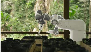 Pilotprojekt von ABB Robotics zur Wiederaufforstung im Amazonas: solarbetriebener und mit der Cloud verbundener YuMi-Cobot im peruanischen Amazonasgebiet. (Bild: ABB)