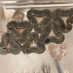 Die dreieckige, geometrische Form lässt sich gut zum Straßenbau verwenden.(Bild:  PAVER Consortium)