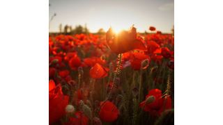 Sich als B2B-Unternehmen zur sozialen und gesellschaftlichen Verantwortung zu bekennen ist heute unerlässlich. (gemeinfrei)