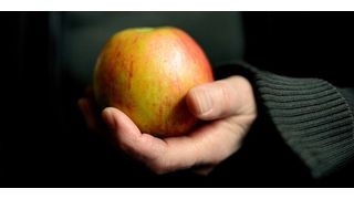 Freiwilliger Nahrungsverzicht: Forschende haben jüngst herausgefunden, dass das Immunsystem eine wichtige Rolle spielt, damit Fasten unserem Körper hilft. (Symbolbild) (Bild: gemeinfrei)