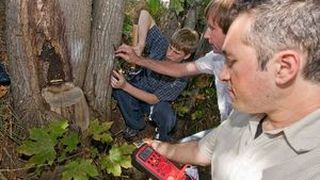 Spezialist für „grünen“ Strom: Babak Parviz (vorne) und Kollegen bei der Baumstrom-Forschung  (Foto: University of Washington)