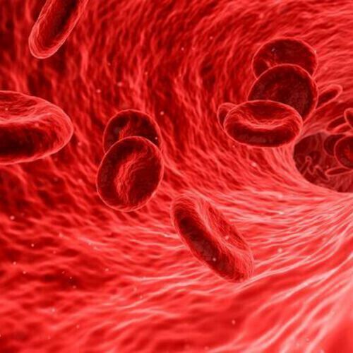 The mainstay of treatment for DVT is anticoagulation therapy. The mainstay of treatment for DVT is anticoagulation therapy.