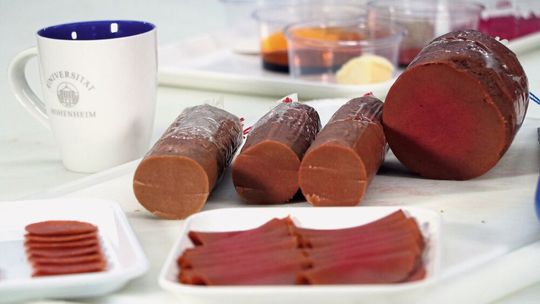Projektseminar Ham without Oink: Studierende des Bachelor-Studiengangs Lebensmittelwissenschaft und Biotechnologie an der Universität Hohenheim haben einen veganen Kochschinken mit Räucherkruste entwickelt.(Bild:  Universität Hohenheim / Corinna Schmid)