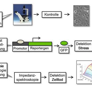 (Bild: Ernst-Abbe-Hochschule Jena)