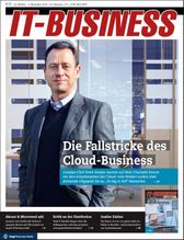 IT-BUSINESS 21/2016 (IT-BUSINESS)