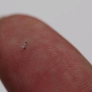 300 Mikrometer groß: Der Nanoschwimmer auf einer Fingerkuppe