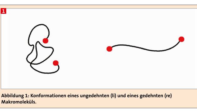 Konformationen eines ungedehnten (li) und eines gedehnten (re)   Makromoleküls.(Bild:)