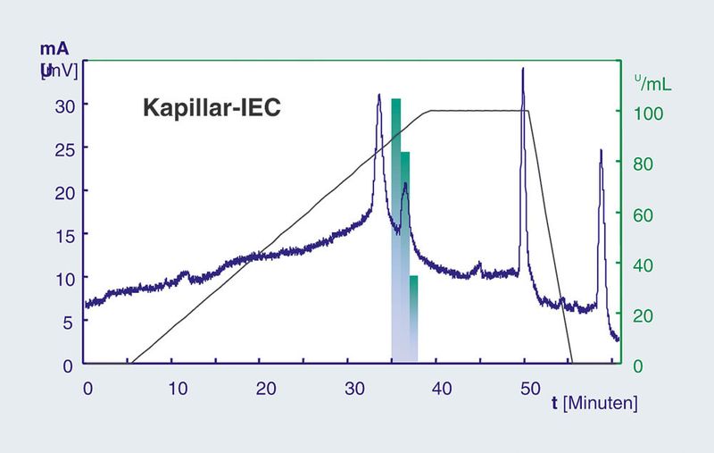 Abb. 4b: Reinigung der ß-Galaktosidase (SEC-Eluat)  durch Kapillar-IEC  Stationäre Phase: TSKgel Bioassist Q - 10 µm; Säulendimension:  300 µm x 50 mm Eluent A: 0,02 M Imidazol pH 6,8 + 1 mL/L Mercaptoethanol;  Eluent B: 0,02 M Imidazol pH 6,8 + 1 M NaCl +  1 mL/L Mercaptoethanol; Gradient: 0 - 5min 0 % B, 5 – 40 min  100 % B, 40 – 50 min 100 % B, 50 – 55 min 0 % B; Flussrate: 5  µL/min ; Detektion: 280 nm; Druck: 183 bar ; Temperatur: RT; Injektionsvolumen:  20 µL (Aktivität: 31000 U/mL) (Archiv: Vogel Business Media)