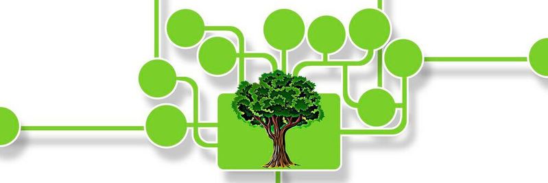 Die digitale Transformation bietet enormes Potenzial für nachhaltige Entwicklungen.(Bild:  frei lizenziert /  Pixabay)