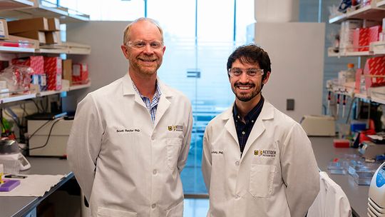 Research findings could help researchers develop personalized treatments for liver disease.(Source:  University of Missouri)
