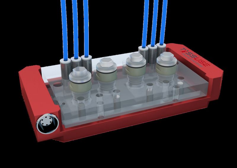 Ein gesamter hat Multi-Organ-Chip hat in etwa die Größe eines kleines Smartphones. Die Basis bildet ein mikroskopierbarer Glasobjektträger (76x26cm) auf dem die in PDMS abgeformte Mikrofluidik liegt. (Bild: TU Berlin)