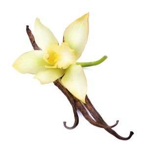 Abb. 1: Zahlreiche Verbindungen sind für das Aroma der Vanille verantwortlich.