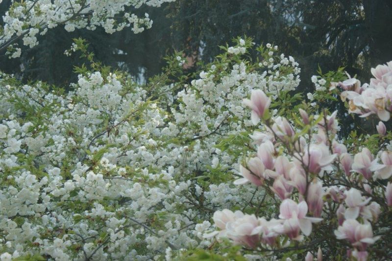 Den Bewertungen für die Kategorie 10 ´