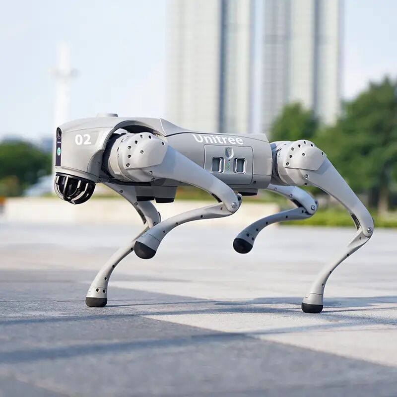 KI-Gipfel Neu-Delhi: Kontroverse um Roboterhund 'Orion'
