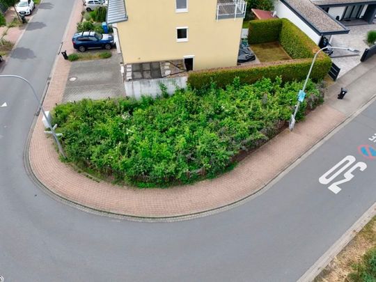 Kompakte Waldflächen in Städten dienen als grüne Infrastruktur – sie puffern Starkregen, kühlen die Umgebung und fördern Biodiversität – gesponsert von Amazon.(Bild:  Miya e.V. via AWS)