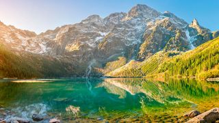 Mit seinem Service Greenlake bietet HPE IT-Infrastruktur für den Mittelstand. (Bild: Tortuga - stock.adobe.com)