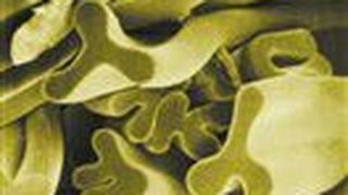 Die in Schörfling produzierten Polyimidfasern lassen sich in Filtermedien, Dichtungen, Flammschutzbekleidung oder Thermoisolationsmaterialien einsetzen.  (Bild: Evonik Industries)
