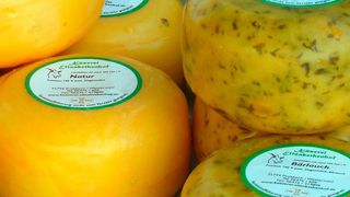 Für den guten Geschmack von Käse sorgen vor allem Mikroorganismen (gemeinfrei)