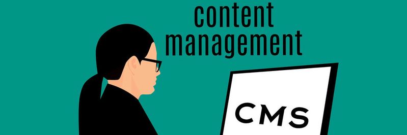 In vielen Unternehmen kommen zwei oder mehr Content-Management-Systeme trotz ähnlicher Ausrichtung zum Einsatz. In vielen Unternehmen kommen zwei oder mehr Content-Management-Systeme trotz ähnlicher Ausrichtung zum Einsatz.