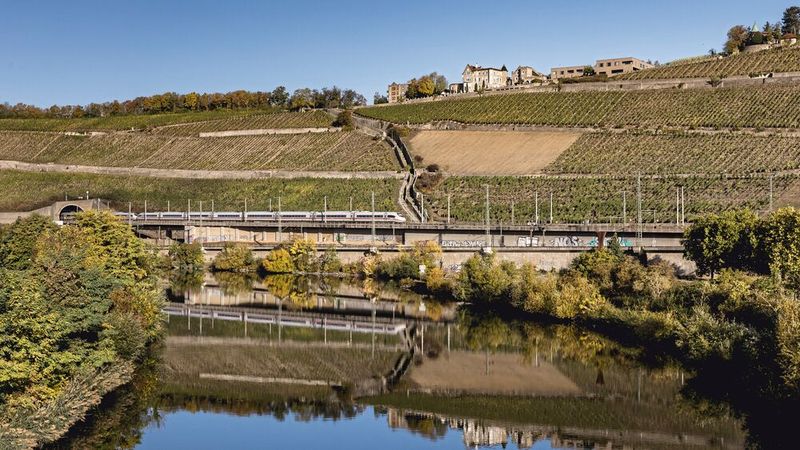 Die Würzburger Steinburg thront über dem Main auf der größten zusammenhängenden Weinlage Deutschlands.  (Bild: Stefan Bausewein)