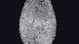 Maßgeschneiderte „molekularen Fingerabdrücken“ verbessern die Vorhersage chemischer Reaktionen, quantenchemischer Eigenschaften und der Toxizität von Molekülen.  (Bild: frei lizenziert)