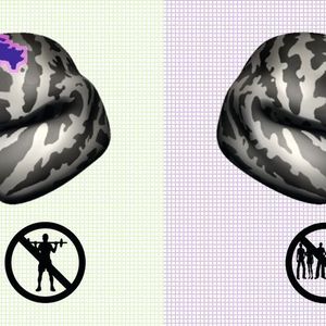 ((c) Forschungszentrum Jülich, Vektor-Illustration von https://de.vecteezy.com)