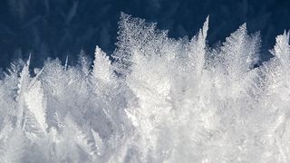 Der Optimizer des Software Asset Management (SAM)-Experten Snow erlaubt dem Nutzer eine umfassende Visibilität der SAP-Umgebung.  (Bild: gemeinfrei© Pezibear)