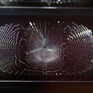 Blick auf ein Einzelelement einer FFMO, hergestellt bei Hella im R2P-(roll-to-plate)-Verfahren, aufgedruckt auf ein passendes Substrat.(Bild:  Hella)