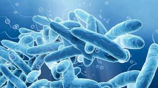 0107077918 (Bild: © Axel Kock - stock.adobe.com)