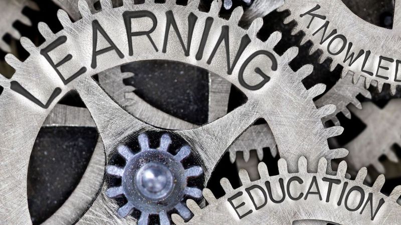 Laut Bitkom reichten Basiskompetenzen in einer von KI, Cloud und Automatisierung geprägten Arbeitswelt nicht mehr aus, die Offensive müsse die gesamte Kompetenzpyramide adressieren.(Bild:  EtiAmmos - stock.adobe.com)