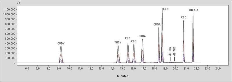 Abb.1: Chromatogramme der Kalibration mit Standards im Bereich von 5 bis 100 mg/l