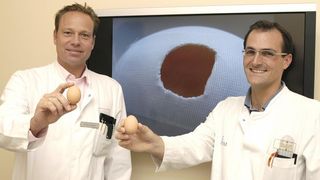 Prof. Dr. Georg Gosheger (l.) und Dr. Maurice Balke haben ein Labormodell für Riesenzelltumoren des Knochens entwickelt.  (Bild: UKM)