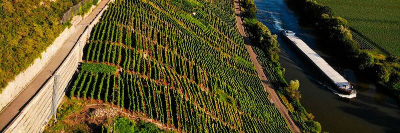Weinberge mit Schiff bei Hessigheim in Baden-Württemberg(©  Lucky Matze - stock.adobe.com)